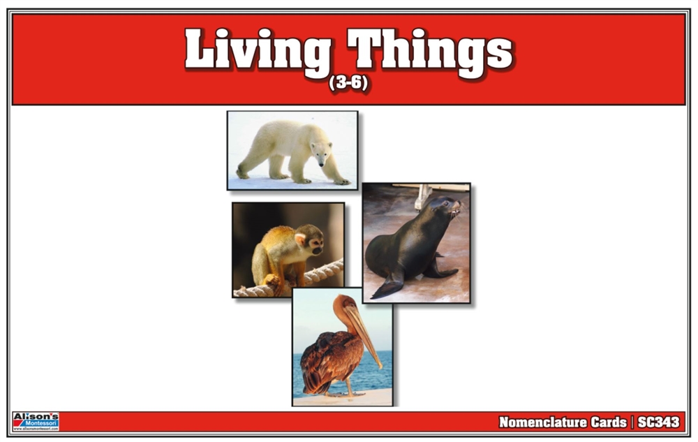 Montessori: Living Things Nomenclature Cards