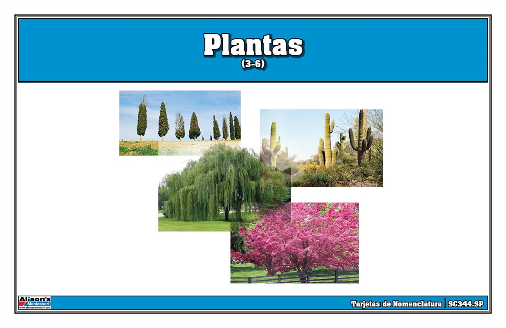 Montessori: Plants Nomenclature Cards