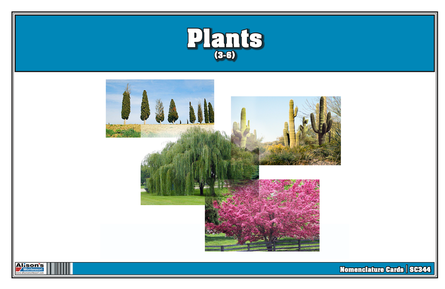  Plants Nomenclature Cards