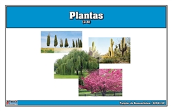 Plants Nomenclature Cards (Spanish)