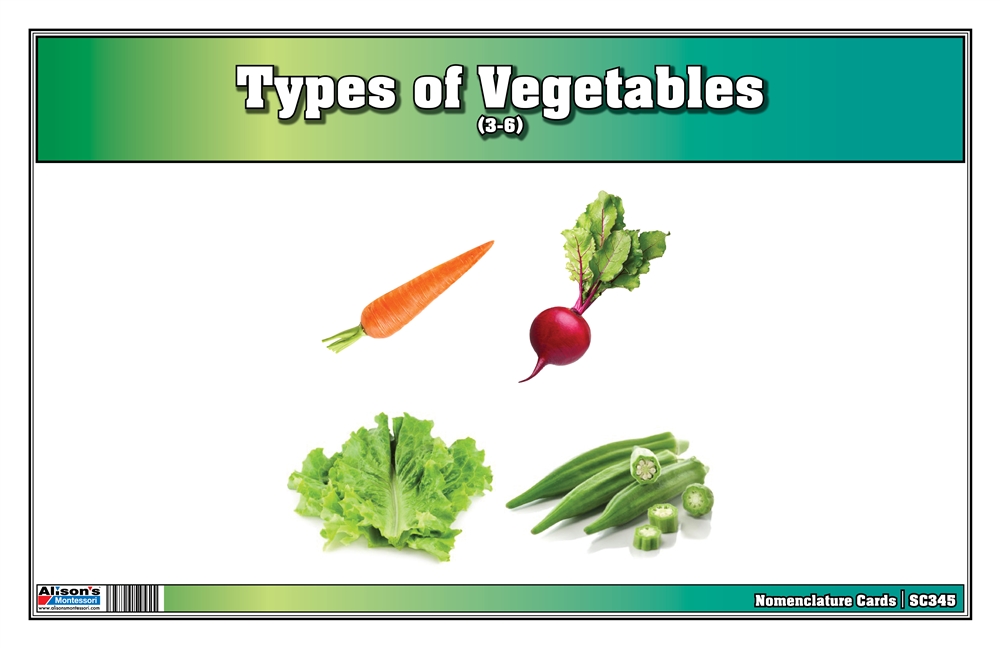 Types of Vegetables Nomenclature Cards 