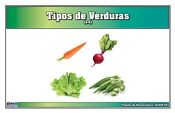 Types of Vegetables Nomenclature Cards (Spanish)