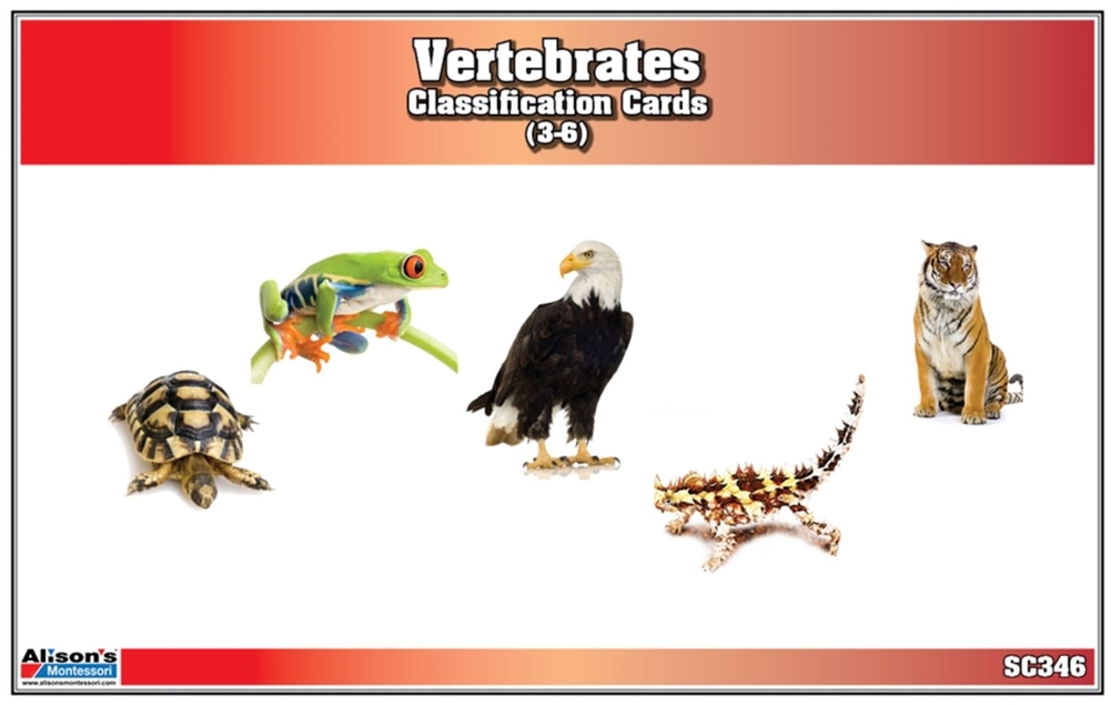 Montessori: Vertebrates Classification Nomenclature Cards