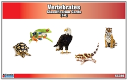 Vertebrates Classification Nomenclature Cards