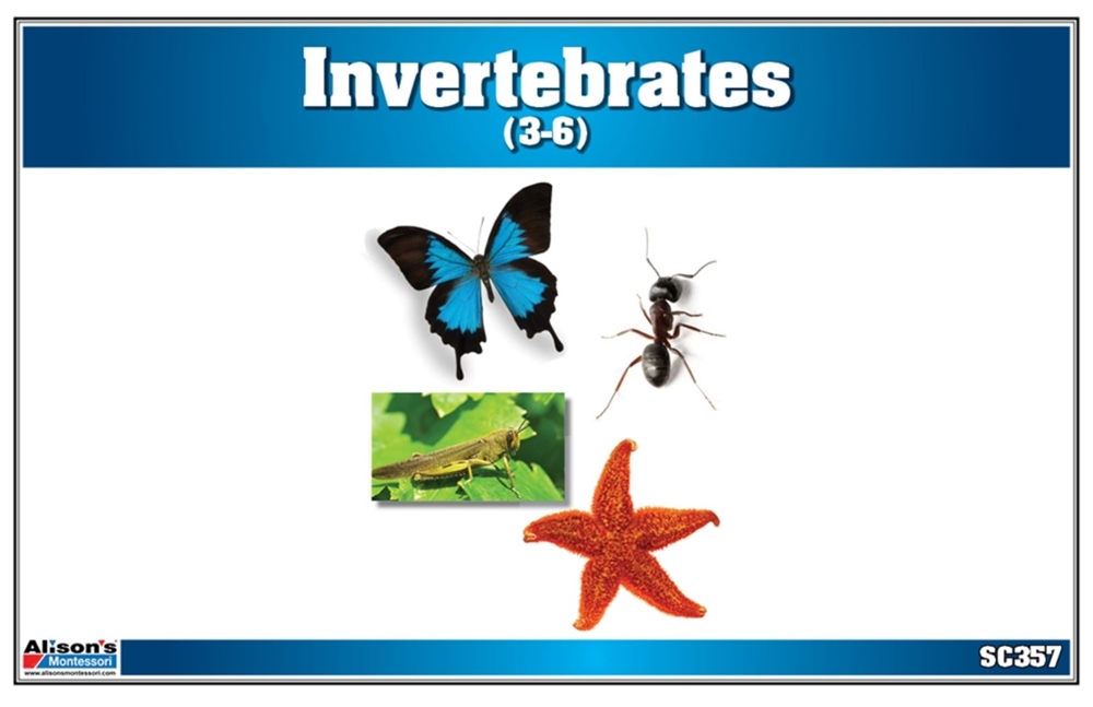 Montessori: Invertebrates Nomenclature Cards