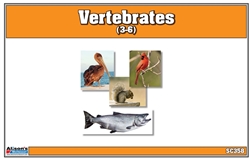 Montessori Materials-Vertebrates Nomenclature Cards