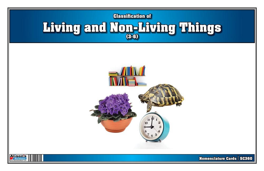 Montessori: Classification of Living and Non-living