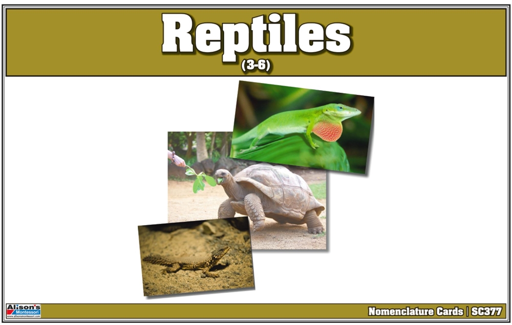 Montessori: Reptiles Nomenclature Cards
