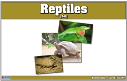 Reptiles Nomenclature Cards (Printed)