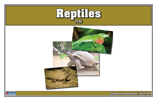 Reptiles Nomenclature Cards (Spanish)