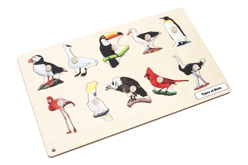 Types of Birds Puzzle