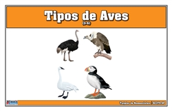 Birds Nomenclature Cards (Spanish)