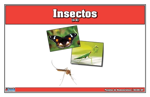Montessori Materials: Insect Nomenclature Cards (Spanish)