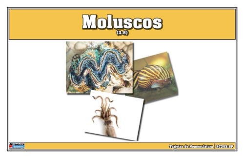 Mollusks Nomenclature Cards (Spanish)
