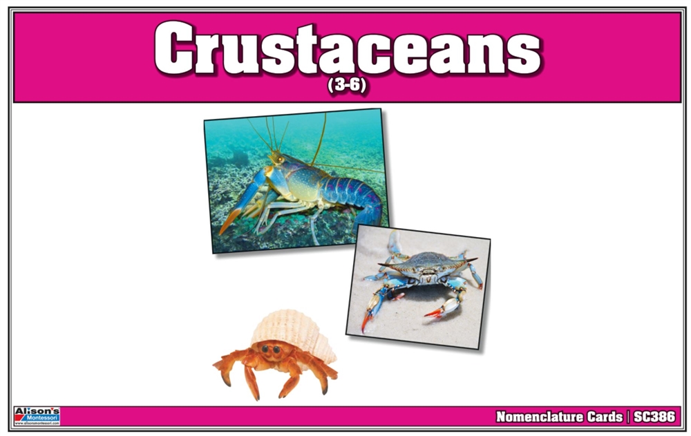 Montessori: Crustaceans Nomenclature Cards