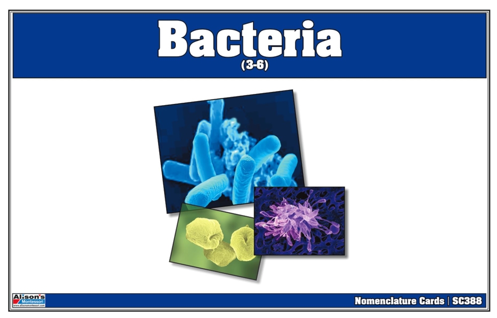Montessori: Bacteria Nomenclature Cards