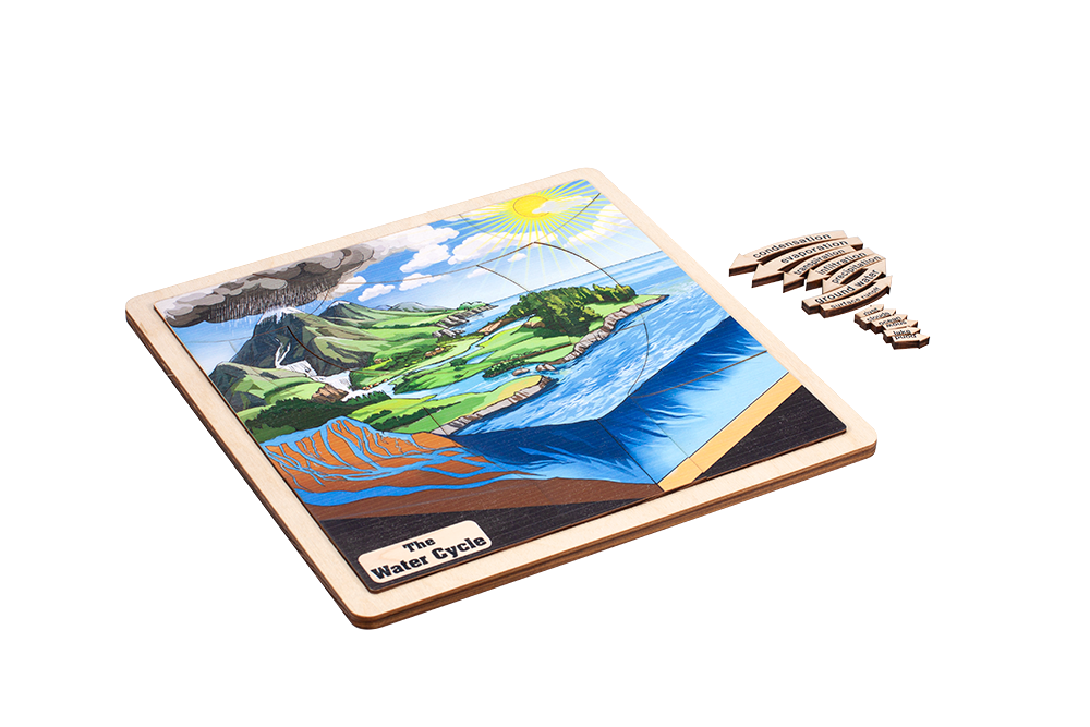 The Water Cycle Puzzle