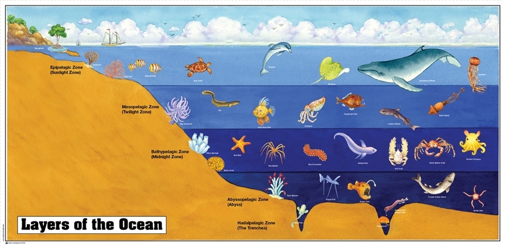 Montessori Materials: Layers of the Ocean Chart