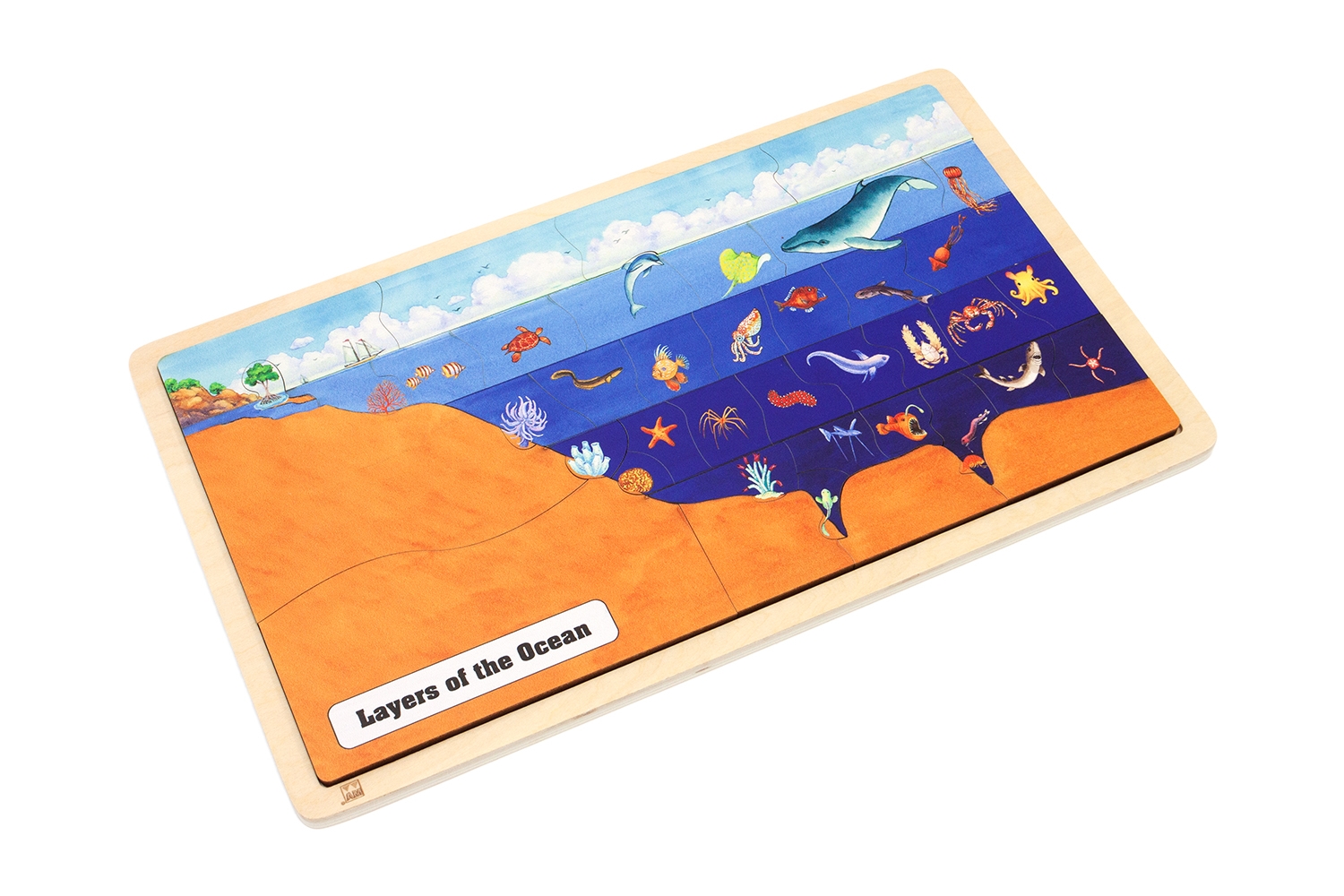  Layers of the Ocean Puzzle