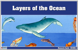 Layers of the Ocean Research Cards