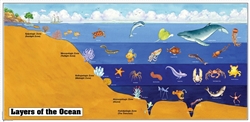 Montessori Materials: Layers of the Ocean (Complete Set)