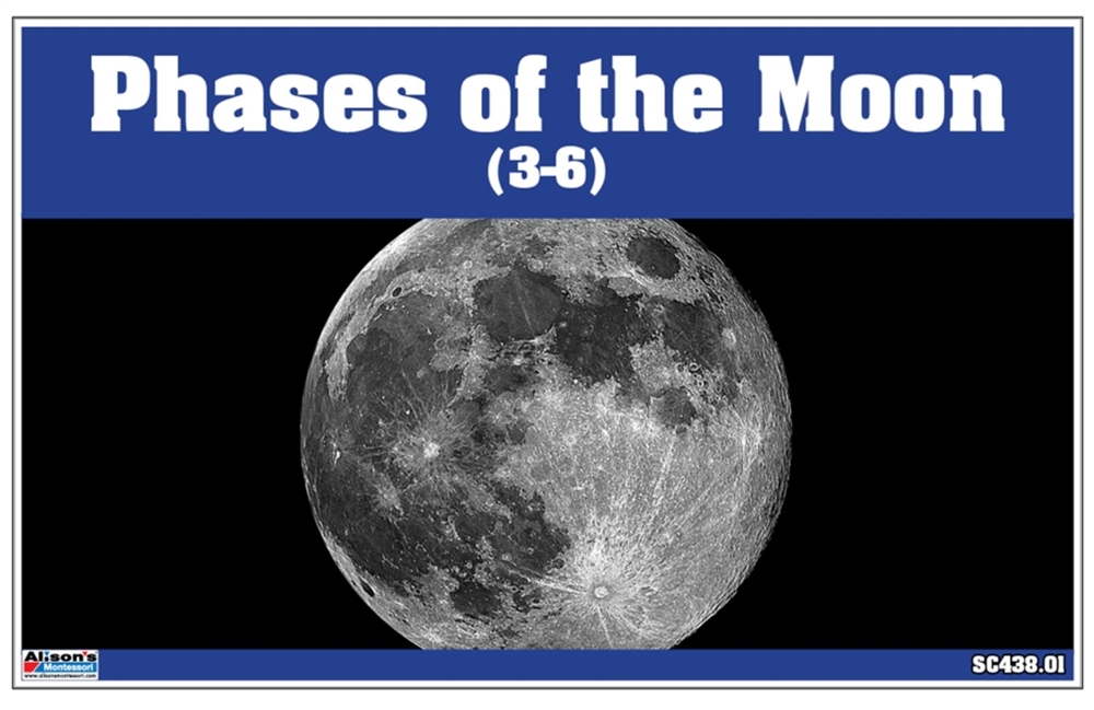 Phases of the Moon Nomenclature Cards (3-6) 