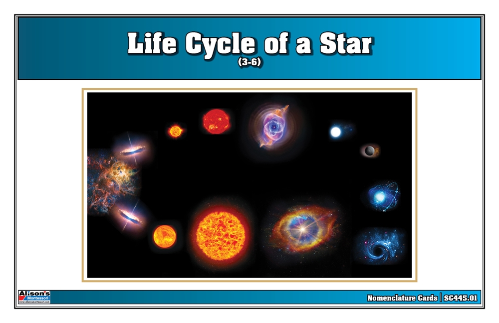 Life Cycle of a Star Nomenclature Cards (3-6) 