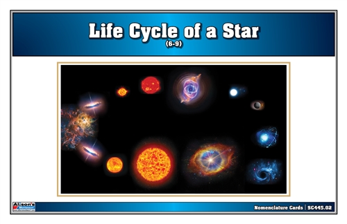 Life Cycle of a Star Nomenclature Cards (6-9)