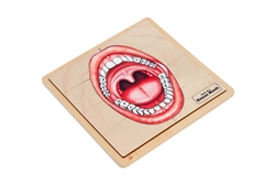 Parts of a Human Mouth Puzzle with Nomenclature Cards (3-6) (Printed)