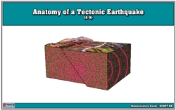 Anatomy of a Tectonic Earthquake Nomenclature Cards (3-6)