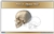 Parts of a Human Skull Nomenclature Cards (3-6)