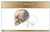 Parts of a Human Skull Nomenclature Cards (6-9)