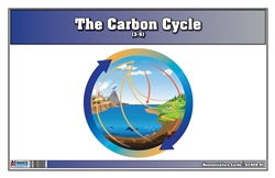The Carbon Cycle Nomenclature Cards (3-6) (printed)