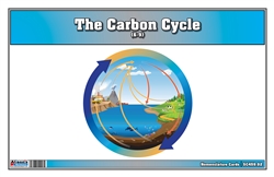 The Carbon Cycle Nomenclature Cards (6-9) (Printed)