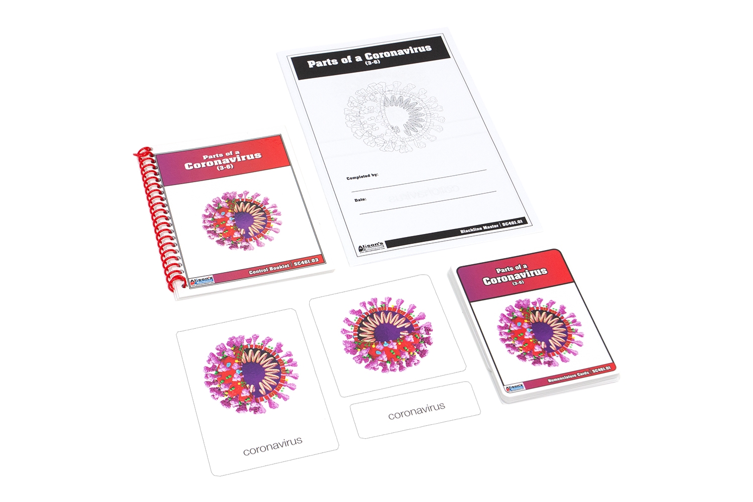 Parts of a Coronavirus Nomenclature Cards (3-6) 