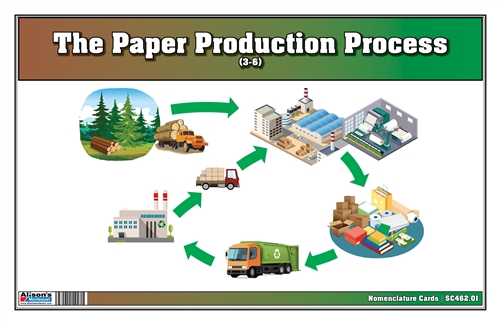 Paper Process Activiation Montessori Materials: The Paper Production Process Nomenclature Cards ...