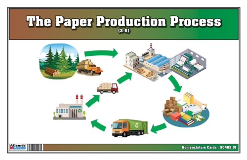 The Paper Production Process Nomenclature Cards (3-6) (printed)