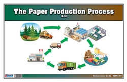 The Paper Production Process Nomenclature Cards (6-9) (Printed)