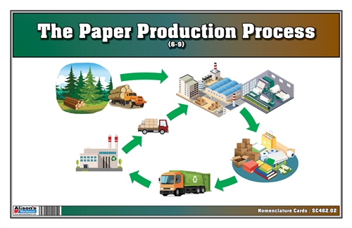 The Paper Production Process Nomenclature Cards (6-9) (Printed)