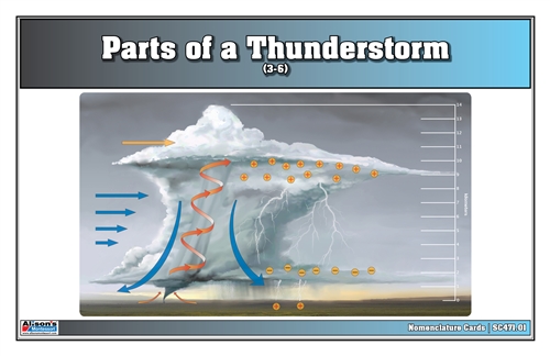 Parts of a Thunderstorm (Nomenclature Cards) (3-6)