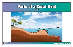 Parts of a Coral Reef (Nomenclature Cards) (3-6)