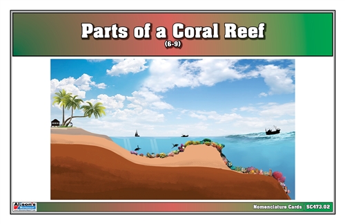 Parts of a Coral Reef (Nomenclature Cards) (6-9)