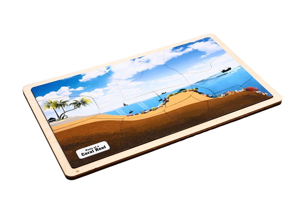 Parts of a Coral Reef Puzzle 
