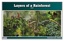 Layers of a Rainforest (Nomenclature Cards) (6-9) (Printed)