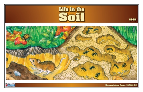 Life in the Soil Nomenclature Cards (6-9) (Printed)