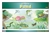 Life in a Pond Nomenclature Cards (6-9) (Printed)