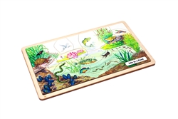 Life in a Pond Puzzle with Nomenclature Cards (6-9) (Printed)