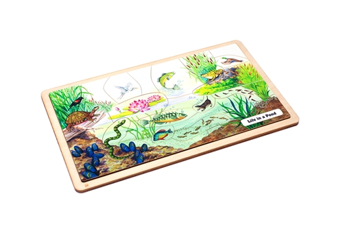 Life in a Pond Puzzle with Nomenclature Cards (6-9) (Printed)