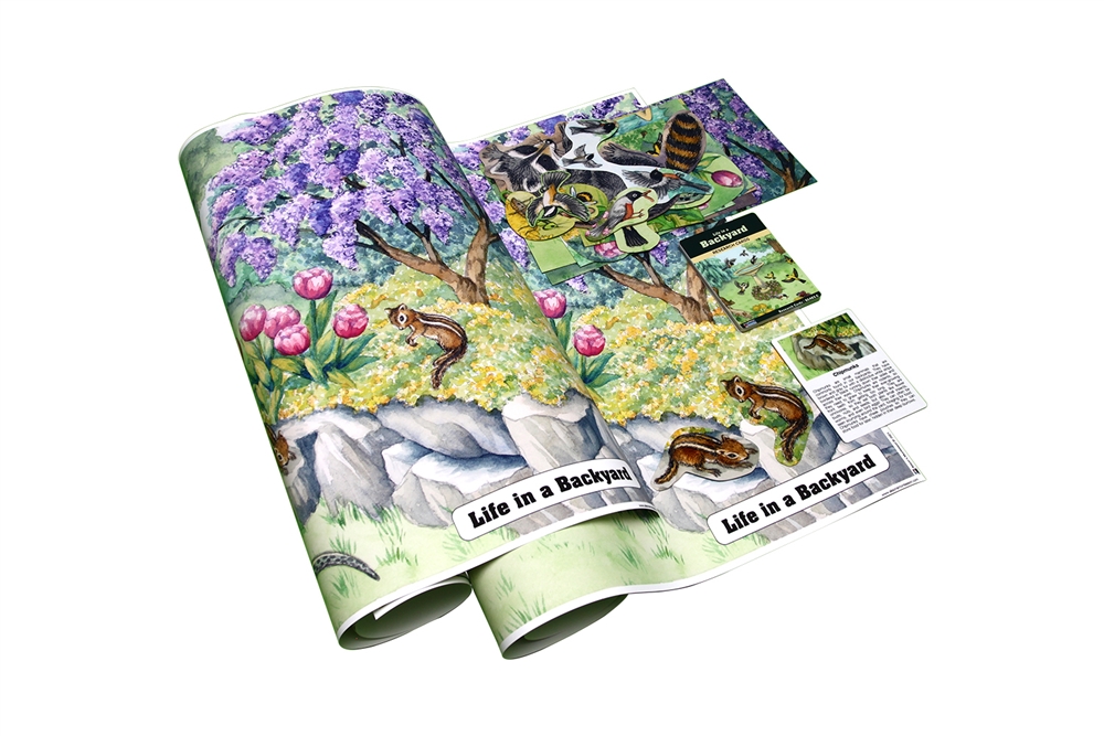 Life in a Backyard Chart with Research Cards 