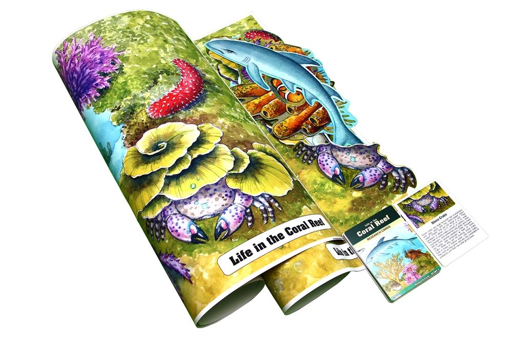 Life in the Coral Reef Chart with Research Cards 
